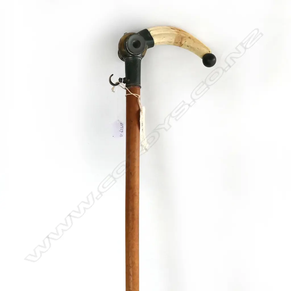RARE WALKING CANE w MICROSCOPE INSET HIPPO TUSK HANDLE Image 1++